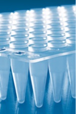 Microplaque PCR 96 puits incolore sans cadre profil standard, bord des puits surélevés